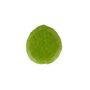 Plato Postre Tropical Fruits Anon